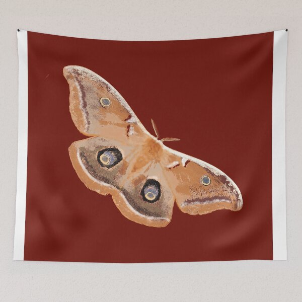 Item preview, Emperor Gum Moth (Opodiphthera eucalypti) on Red Ochre designed and sold by ChrissyWild.