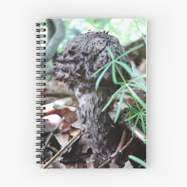 Item preview, Rugged Shroom designed and sold by Brandy Bentz-Jackson.