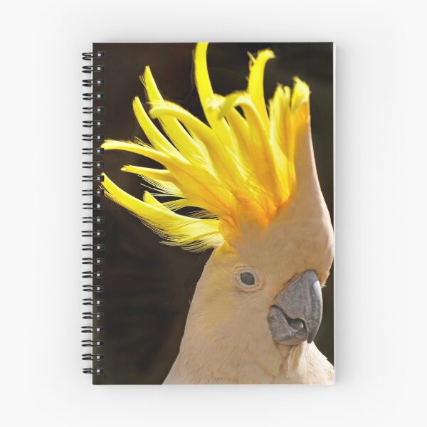 Item preview, crowned with sunshine  designed and sold by Kate  McInnes.