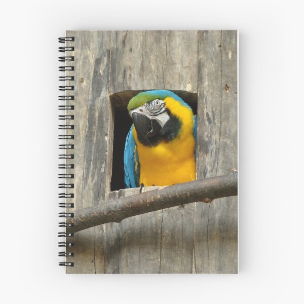 Item preview, Cuckoo! designed and sold by Jocelyne Phillips.