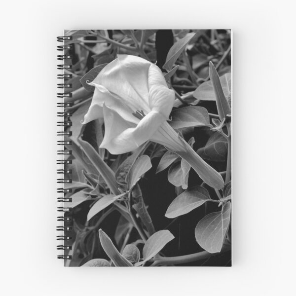 Item preview, Moon Flower designed and sold by Bridges.