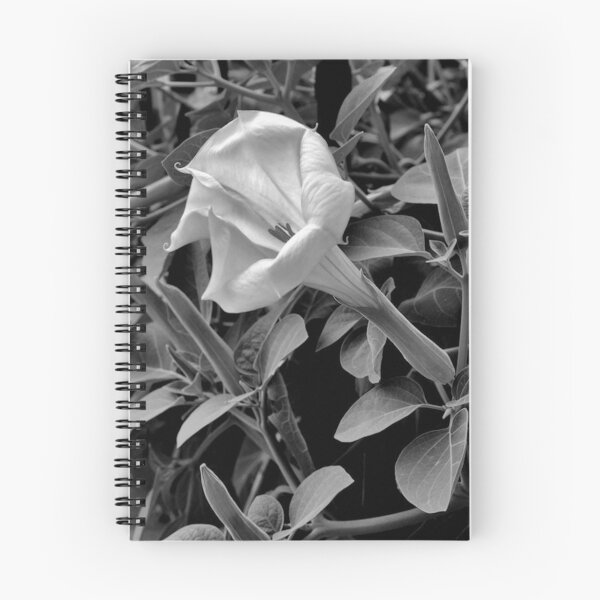 Item preview, Moon Flower designed and sold by Bridges.