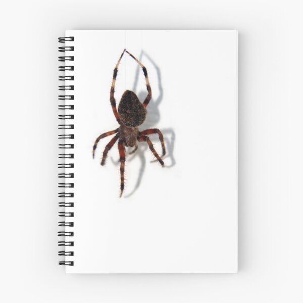 Item preview, Along Came a Spider designed and sold by Karri Klawiter.