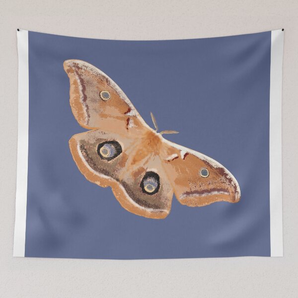 Item preview, Emperor Gum Moth (Opodiphthera eucalypti) Large on Azure designed and sold by ChrissyWild.