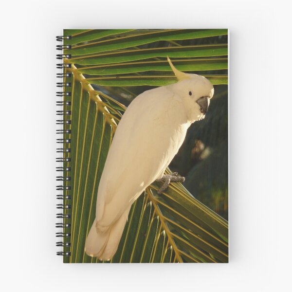 Item preview, Too designed and sold by Embino.