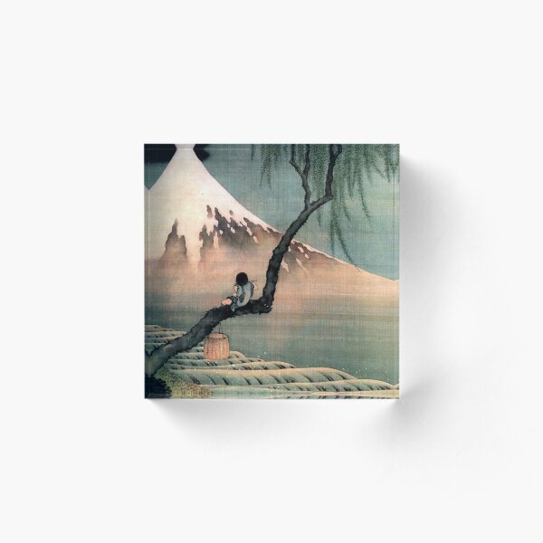 Boy on the Tree hokusai Acrylic Block