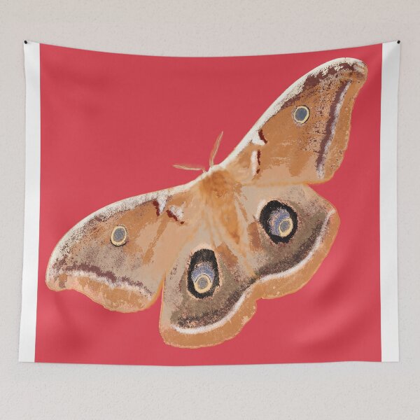 Item preview, Emperor Gum Moth (Opodiphthera eucalypti) large on Coral designed and sold by ChrissyWild.