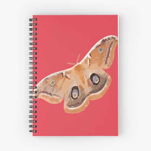 Item preview, Emperor Gum Moth (Opodiphthera eucalypti) large on Coral designed and sold by ChrissyWild.