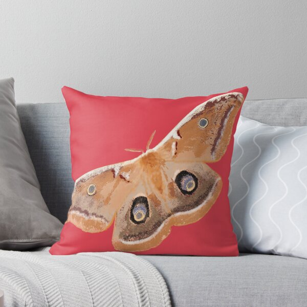 Item preview, Emperor Gum Moth (Opodiphthera eucalypti) large on Coral designed and sold by ChrissyWild.