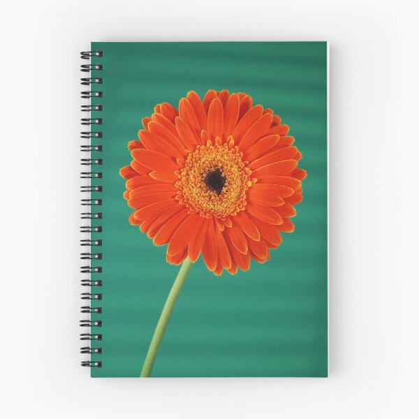 Item preview, daisy at dusk designed and sold by jon  daly.