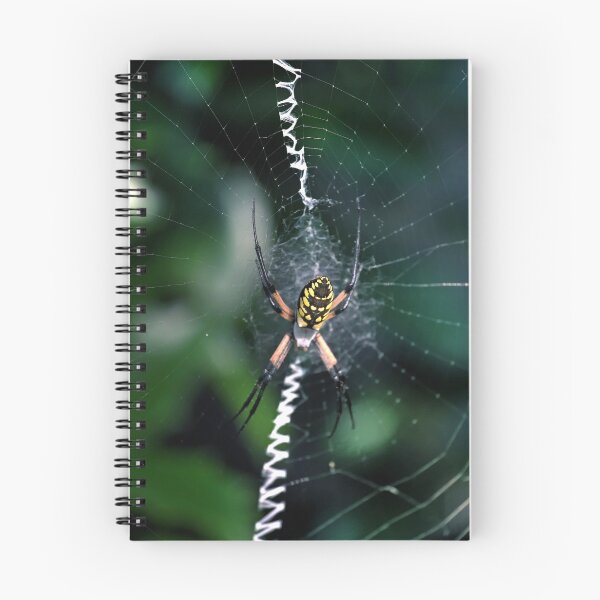 Item preview, Banana spider designed and sold by tuetano.