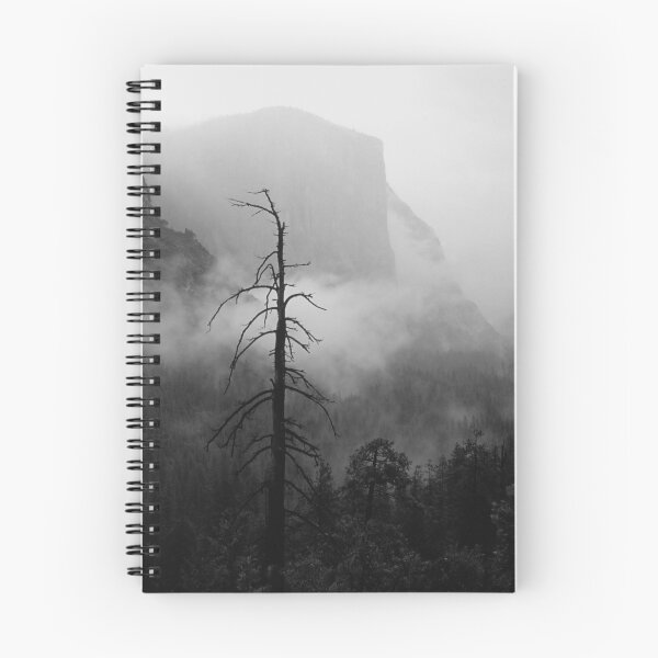 Aperçu de l'œuvre MISTY EL CAPITAN créée et vendue par Chuck Wickham.