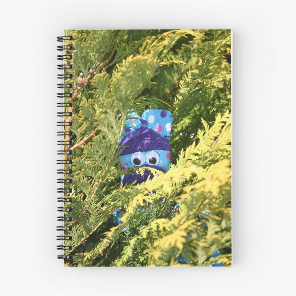 Item preview.