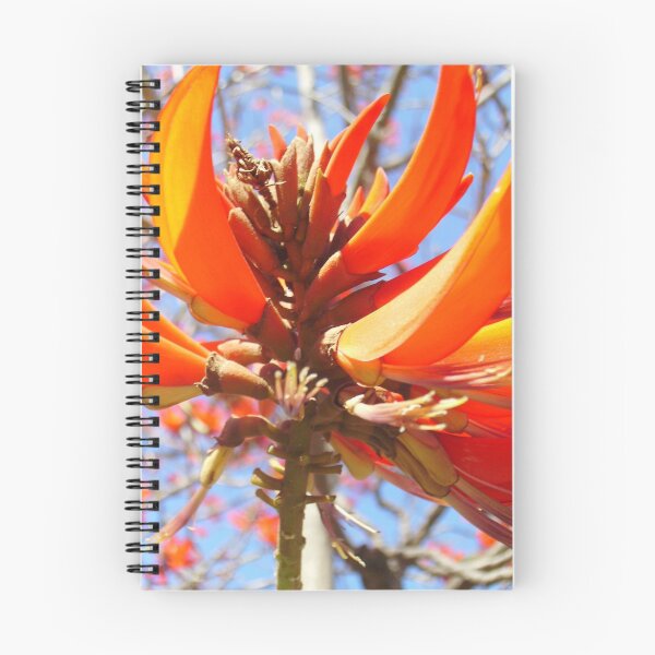 Item preview, Flame Tree Bloom designed and sold by Skyhorse.