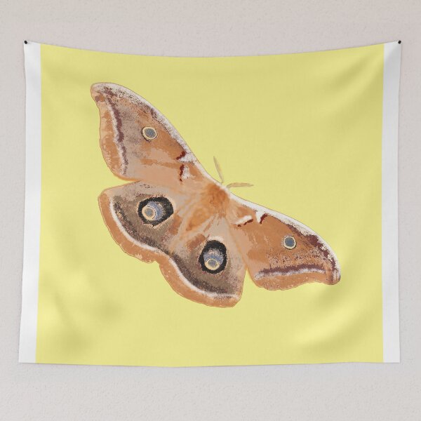 Item preview, Emperor Gum Moth (Opodiphthera eucalypti) large on Lemon designed and sold by ChrissyWild.