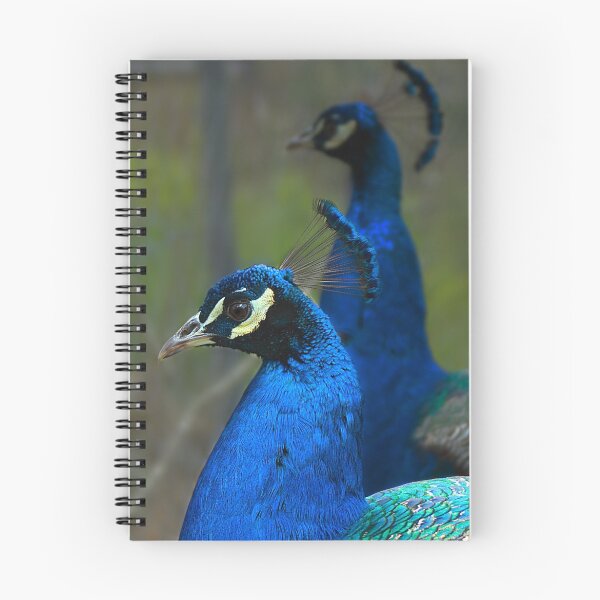 Item preview, Peacock designed and sold by Didi Bingham.