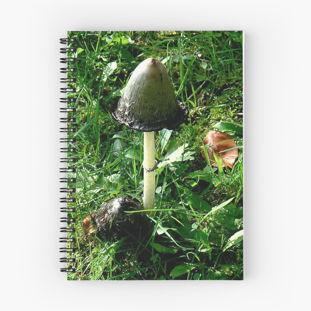 Item preview, Spiral Notebook designed and sold by Dortmund.