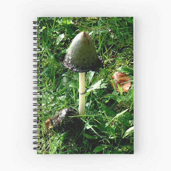 Item preview, Small Inkcap designed and sold by Trevor Kersley.