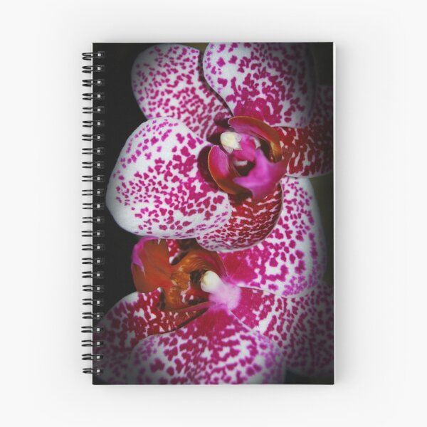 Artikelvorschau, Spots of Beauty entworfen und verkauft von Catherine Crimmins.