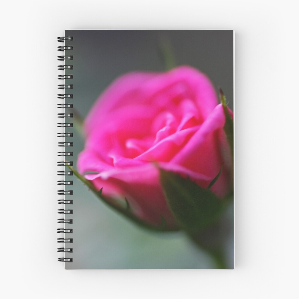 Item preview, Spiral Notebook designed and sold by cking.