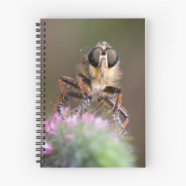 Item preview, Robberfly designed and sold by André Gonçalves.