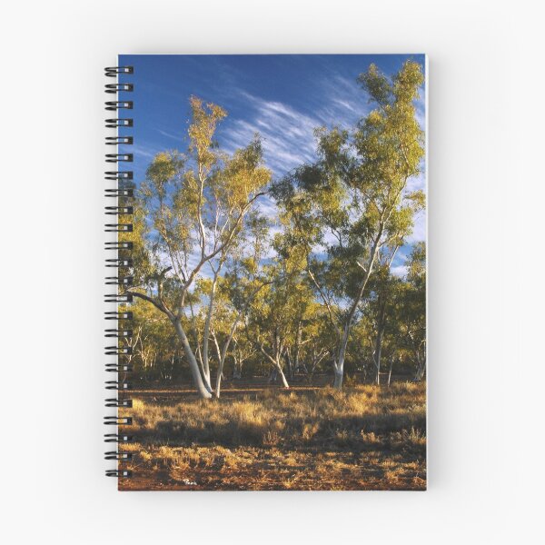 Item preview, Gum trees in late afternoon light designed and sold by Wayne England.