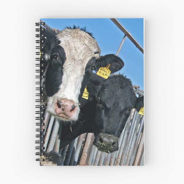 Item preview, Cows with Attitude designed and sold by Sue  Cullumber.