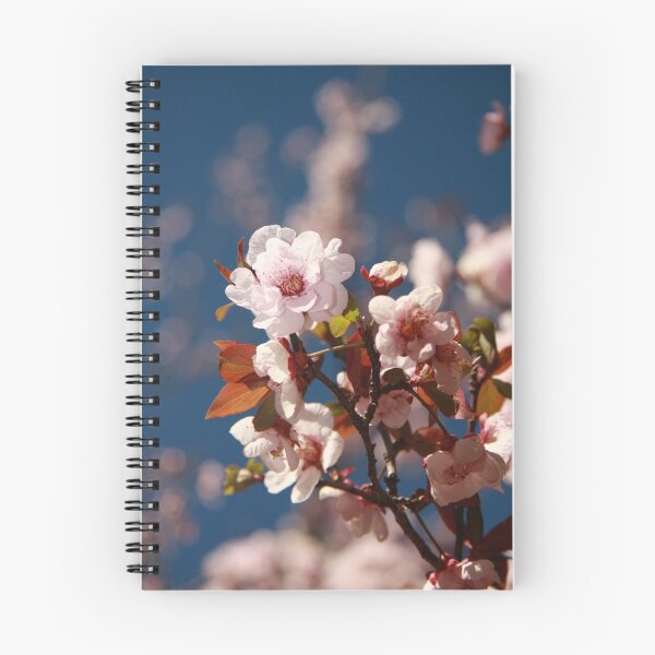 Artikelvorschau, Almond blossoms entworfen und verkauft von Andreas Koepke.