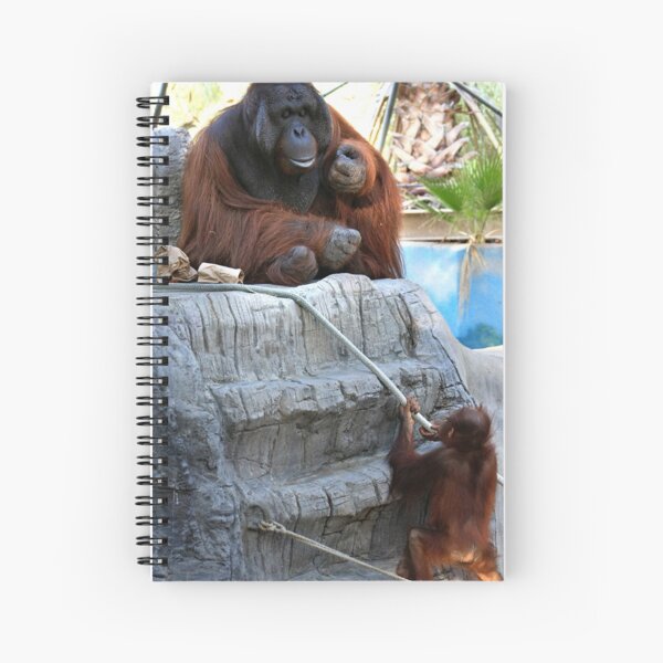 Tug-of-War Spiral Notebook