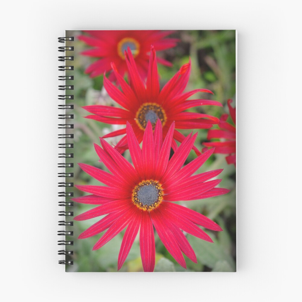 Item preview, Spiral Notebook designed and sold by partyofive.