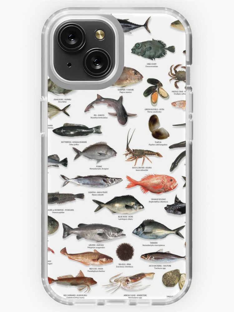 NZ fish species  iPhone Case for Sale by Tehomuera