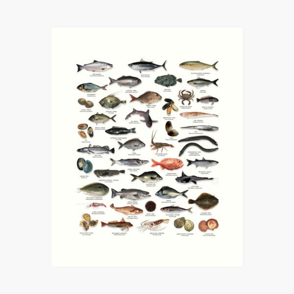 Jeremy Reels in a Fish by Beatrix Potter | Fine Art Print