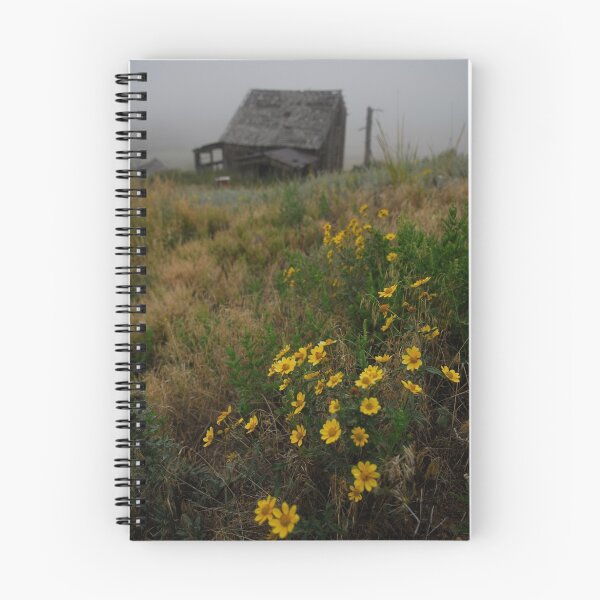Aperçu de l'œuvre Homestead créée et vendue par Christopher Barker.