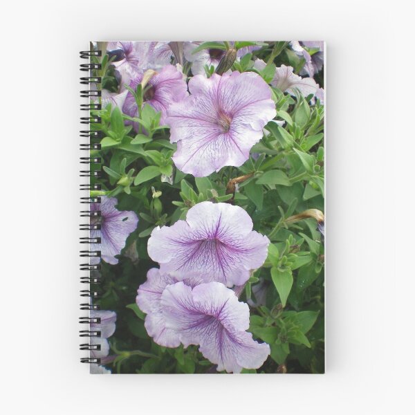 Item preview, 3 Beautiful Lavender Petunas designed and sold by Diane Trummer Sullivan.