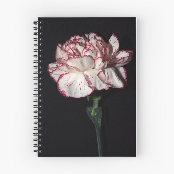 Artikelvorschau, Charming Carnation entworfen und verkauft von Sharon McRae.