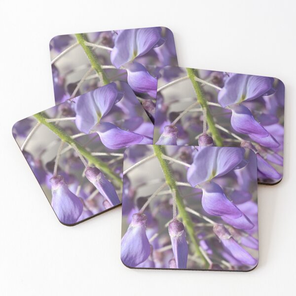 Item preview, Young Budding Wisteria Flowers designed and sold by Joy Watson - Natural Light Photography .