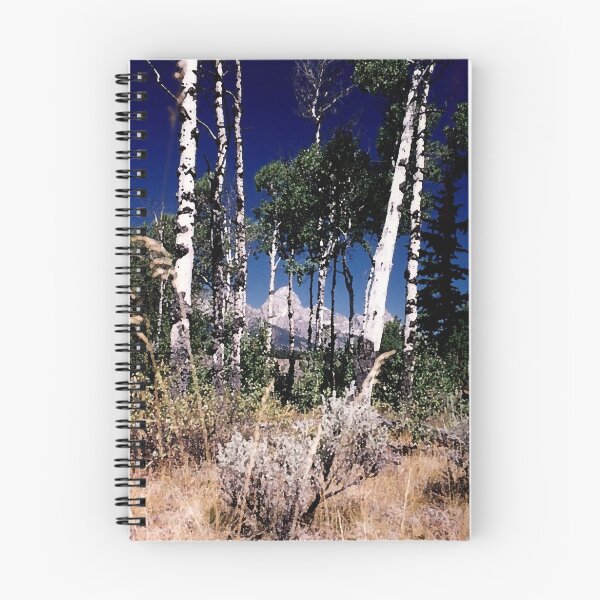 Item preview, Aspins and Tetons designed and sold by Ed Moore.