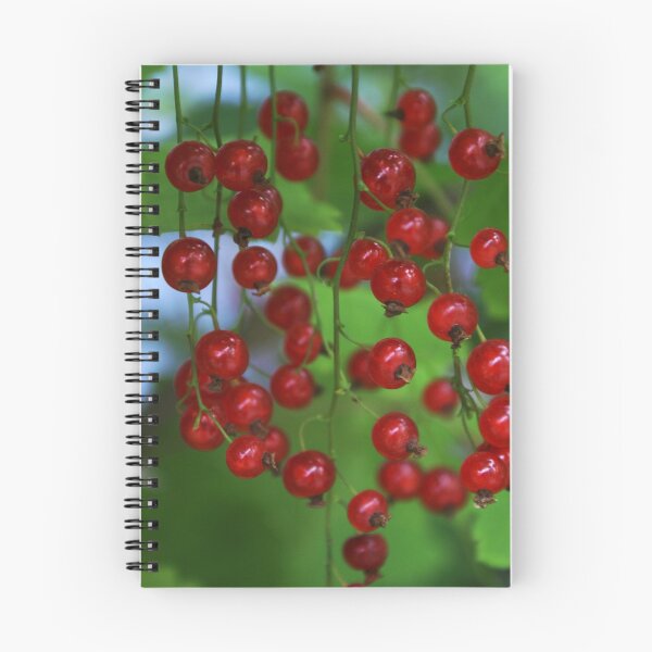 Item preview, Fall Harvest designed and sold by Jackie Muncy.