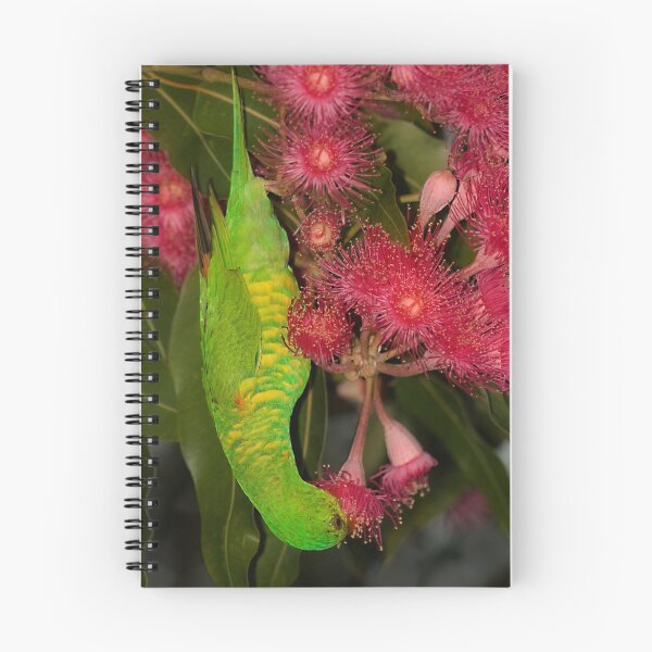 Item preview, Green and Pink designed and sold by Gethin.