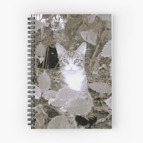 Item preview, Kittens designed and sold by Amanda McGreck.