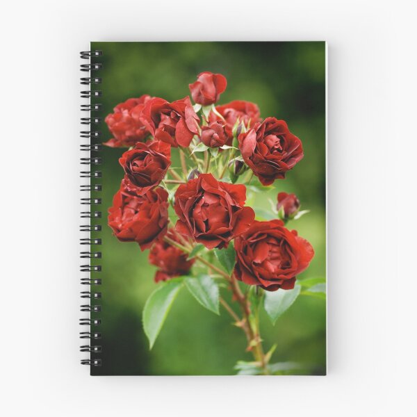 Item preview, Red Roses from Rambures designed and sold by Mirka Rueda Rodriguez.