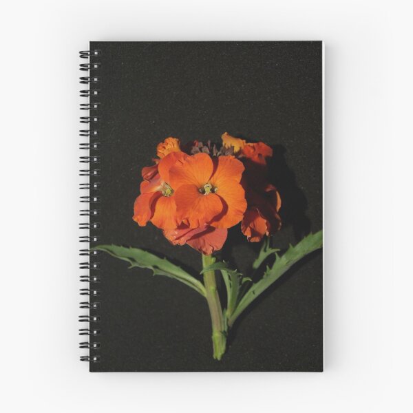 Item preview, Exquisite Erysimum designed and sold by Sharon McRae.
