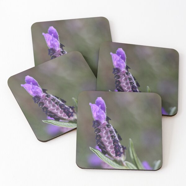 Item preview, Spring Purple Lavender designed and sold by Joy Watson - Natural Light Photography .