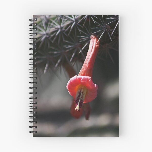Item preview.