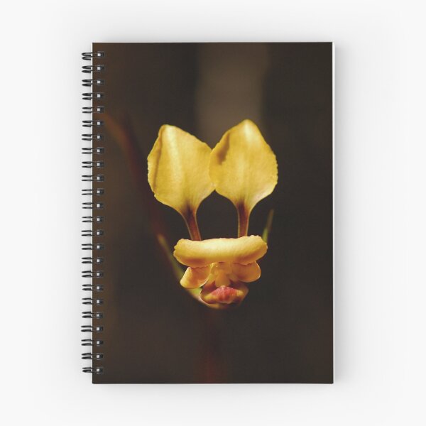Item preview, Donkey Orchid designed and sold by Peter Hodgson.