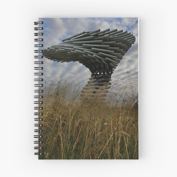 Item preview, Singing Ringing Tree designed and sold by Shaun Whiteman.