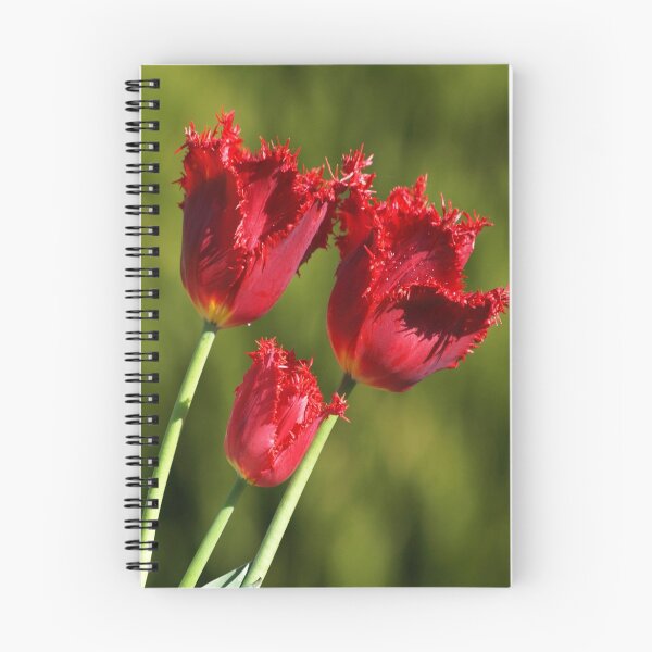 Item preview, Red Frilled Tulips designed and sold by Bev Pascoe.