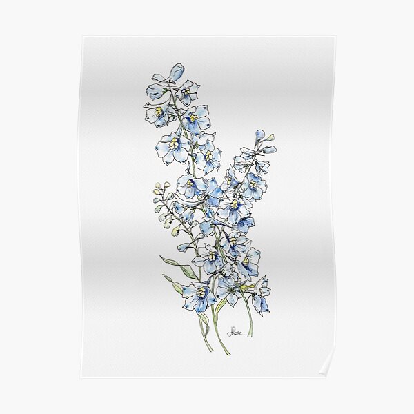 Blue Delphinium Flowers Poster