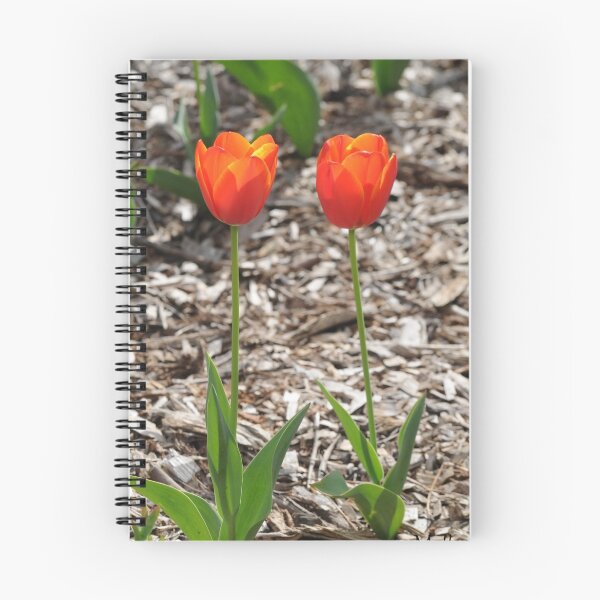 Item preview, "Tulips" designed and sold by Melle.