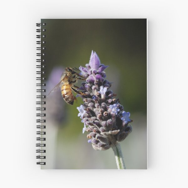 Item preview, Bees Love Lavender designed and sold by Grant Scollay.